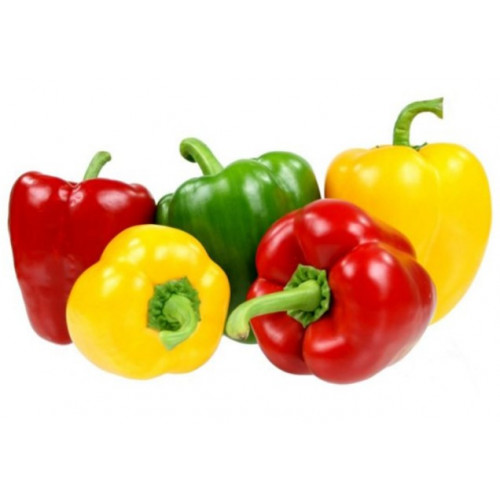 فليفلة ملونة