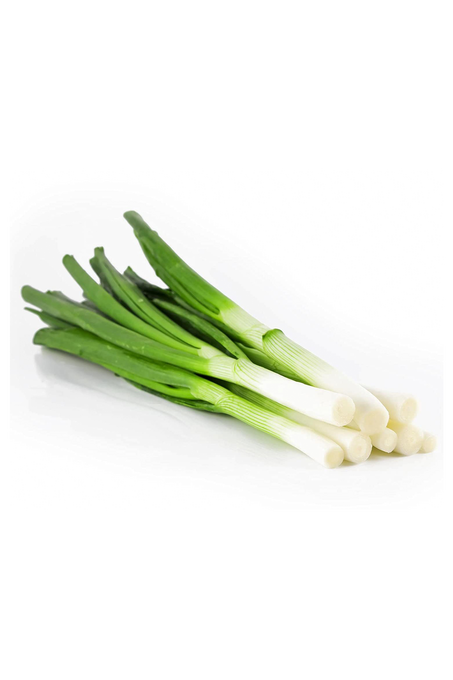 بصل اخضر