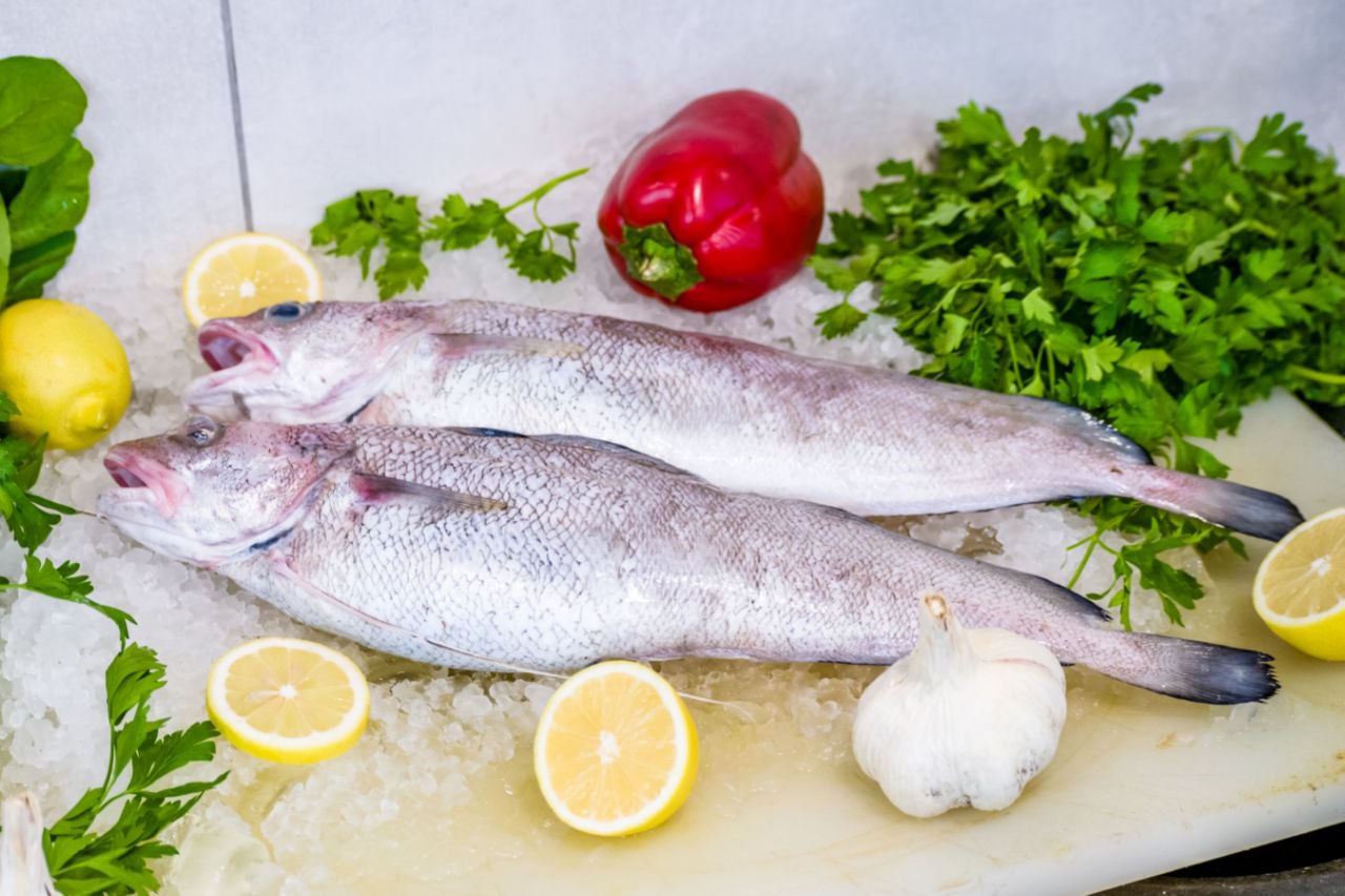 سمك ذكر ميرلان