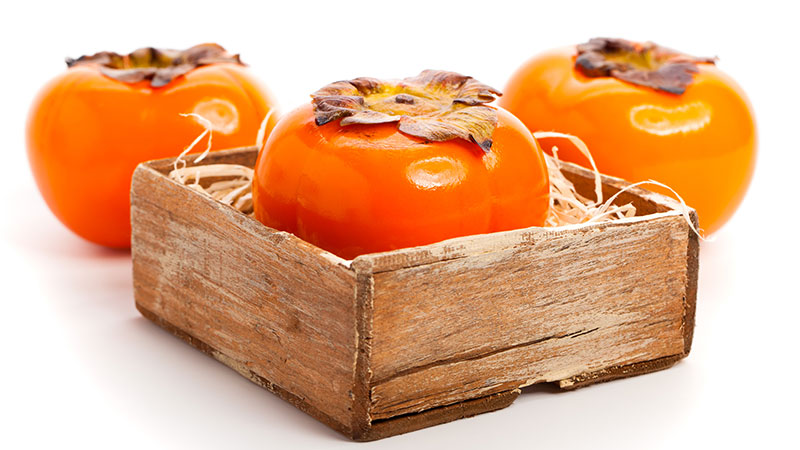 خرمة اكسترا